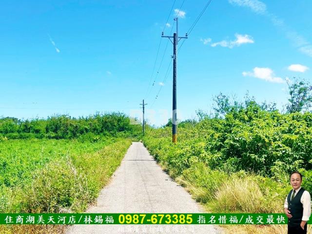 台南農地-4